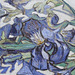 Detail of Irises by Van Gogh in the Metropolitan Museum of Art, May 2011