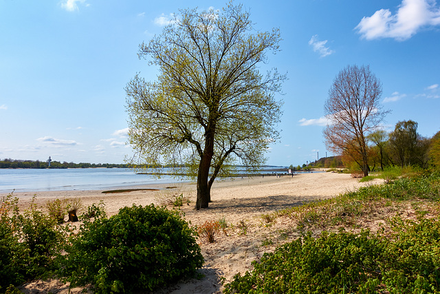 elbstrand-00589-co-01-05-16