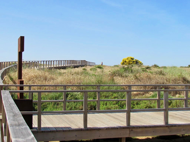 Walkways on Alvor Estuary (2014)