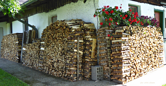 Holz vor der Hütt'n ...