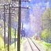 VÖ0000353