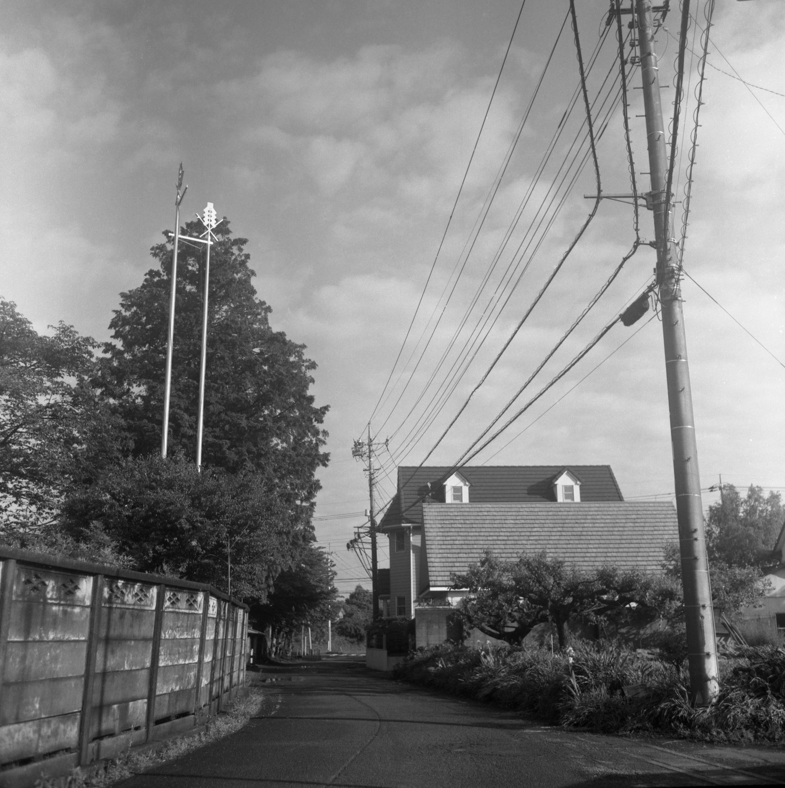 Road and power lines