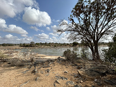 Galana River shores.