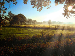 Idyllisches Emsland - Weltfotografietag