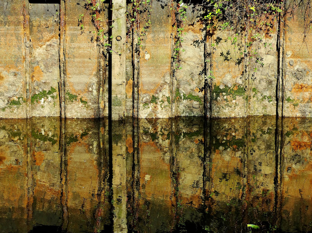 Wall by the Water