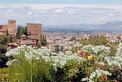 Generalife - Weiße Blumen