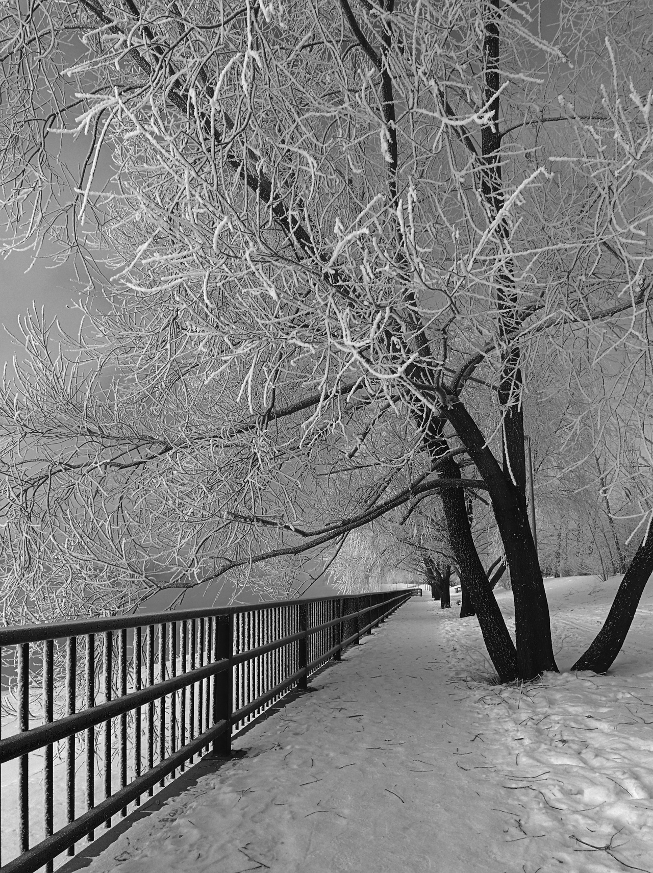 Frozen embankment