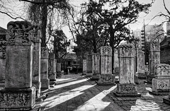 Silent Steles
