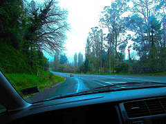 On The Road Again.