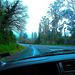 On The Road Again.
