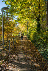 autumn walk