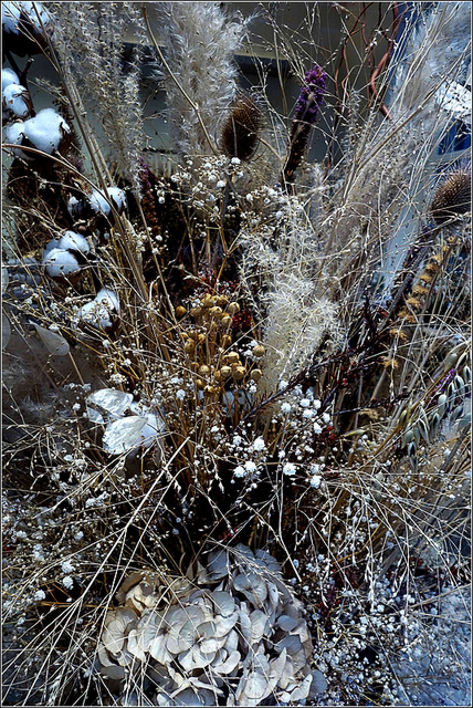 Fleurs et herbes séchées