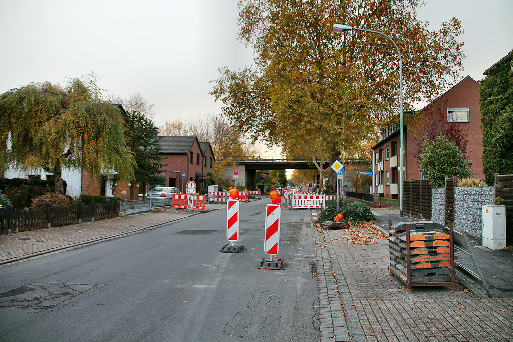 Hartfeldstraße (Neukirchen-Vluyn) / 9.11.2018