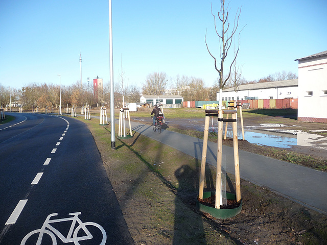 Rudongstraße (Biomalzspange) von Stahnsdorf nach Teltow