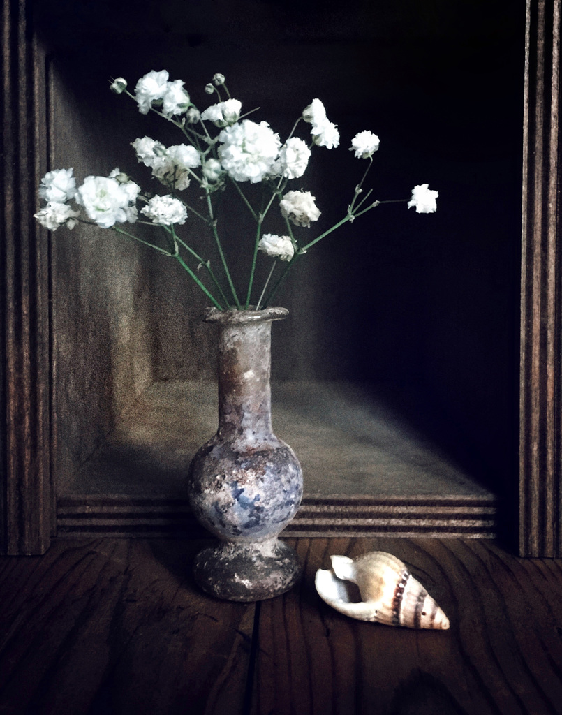 glass and shell