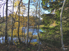 The Lake on the Altyre Estate