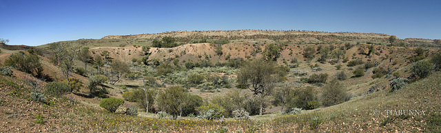 Henbury Meteorite crater