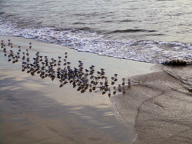 le monde de la mer,