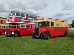 On display at Showbus 50 - 25 Sep 2022 (P1130484)
