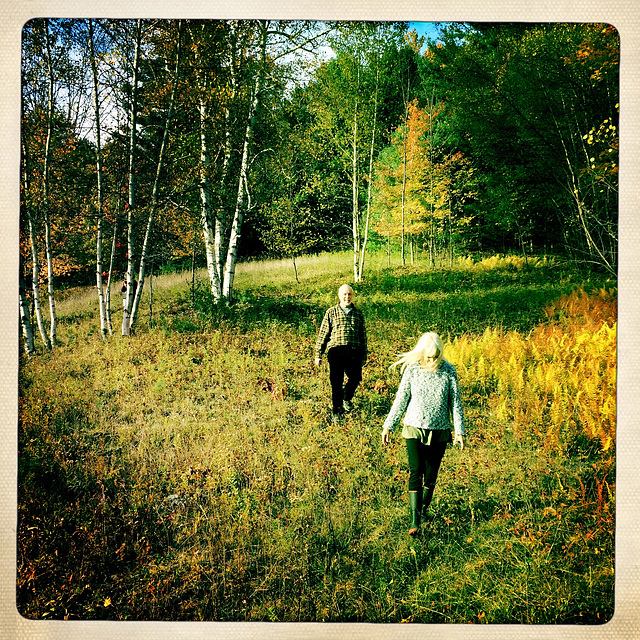 Birches and Ferns