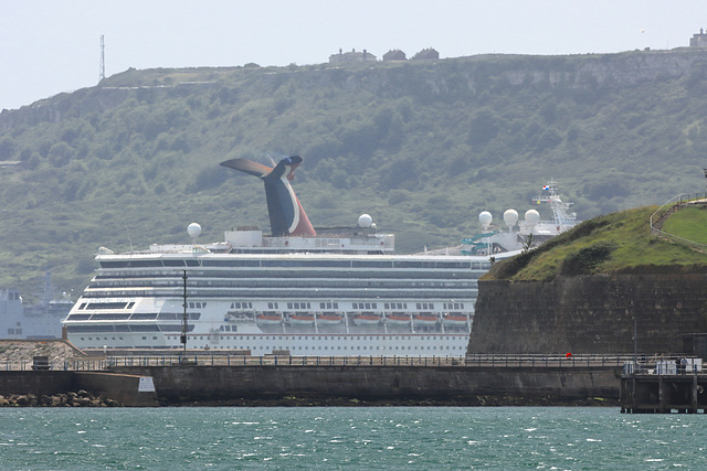 EOS 90D Peter Harriman 13 21 23 33317 carnivalValor dpp