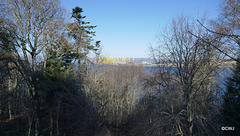 Looking across the Cromarty Gap from high among the trees