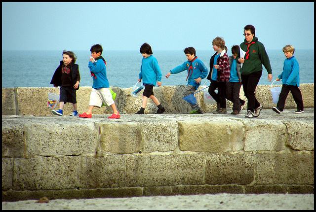 cubs on the Cobb