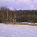 VÖ0000365