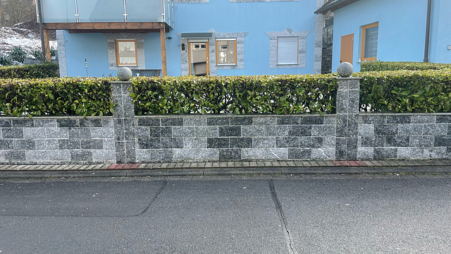 Wall with hedge