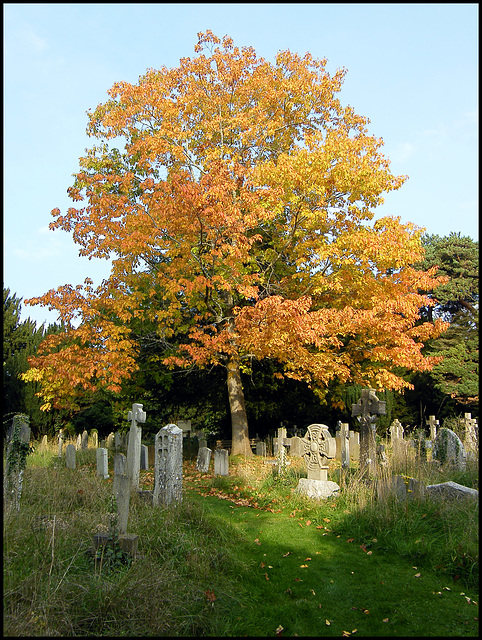 autumn in the churchyard