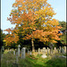 autumn in the churchyard