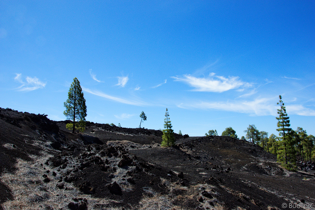 schwarze Lava (© Buelipix)