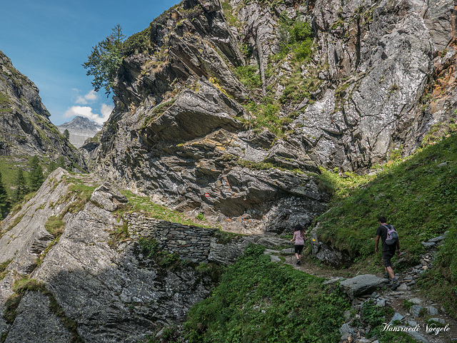 Cardinello Schlucht