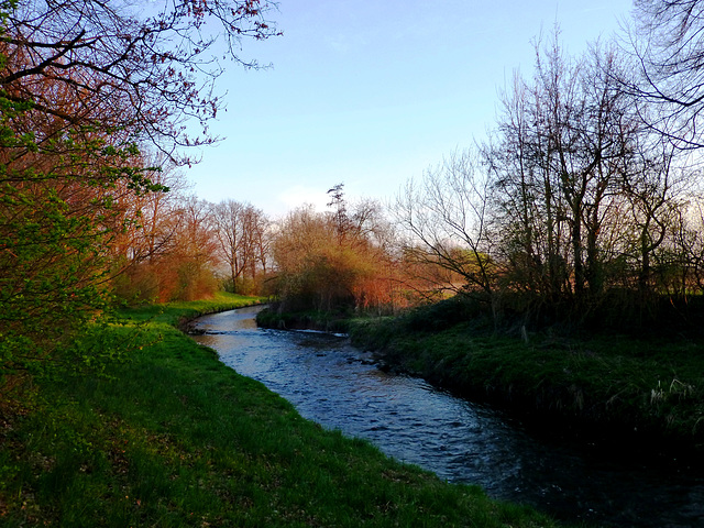 DE - Weilerswist - Spring evening