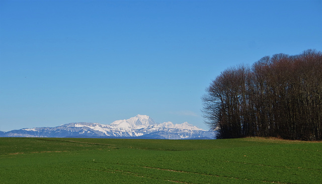 Mont Blanc Chartreuse