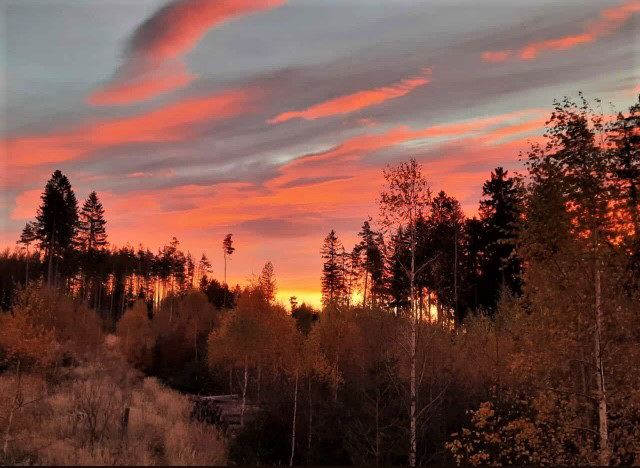 8:56 Uhr - Morgenhimmel zwischzen Probstzella und Großgeschwenda