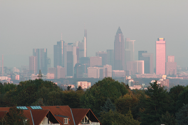 Frankfurter Skyline in der Abendsonne