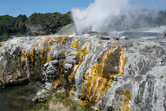 Pohutu Geysir