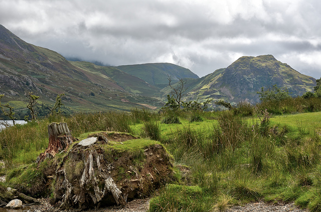 The wilderness of Crummock Water