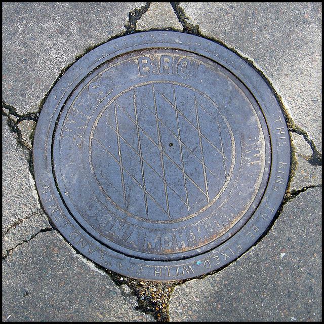 West Brothers coal hole cover