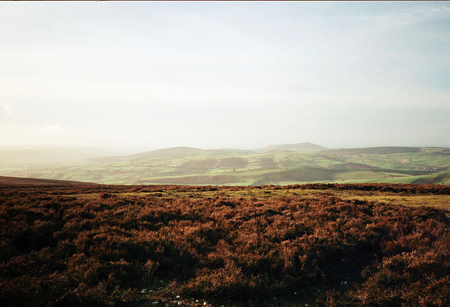 View towards Wales from Pole Bank (516m) (Jan 1990, scan)