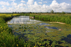 Marais normand