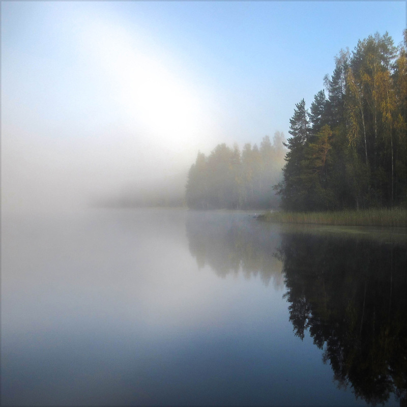 misty morning