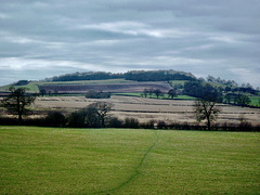Across the fields from Henley-in-Arden looking towards Bannam’s Wood.