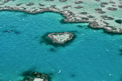 Heart Reef - Great Barrier Reef