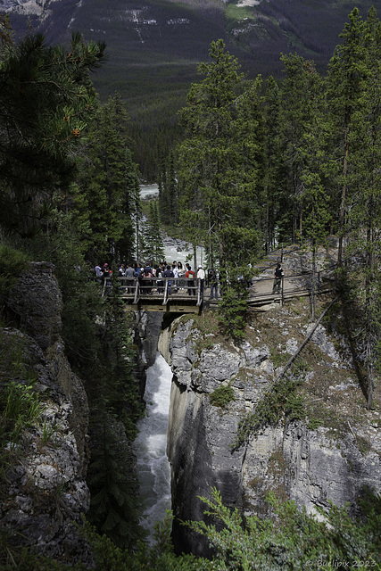 Sunwapta Falls ... P.i.P. (© Buelipix)