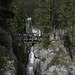 Sunwapta Falls ... P.i.P. (© Buelipix)