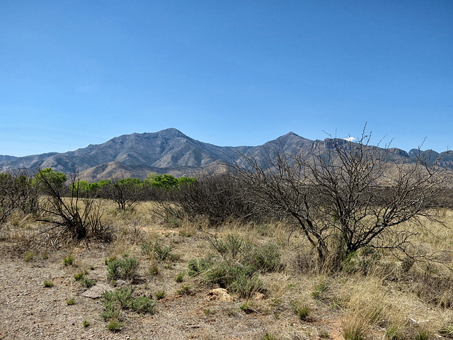 Miller & Carr Peaks