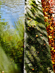 Water. Reflections and Abstracts 1