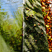 Water. Reflections and Abstracts 1